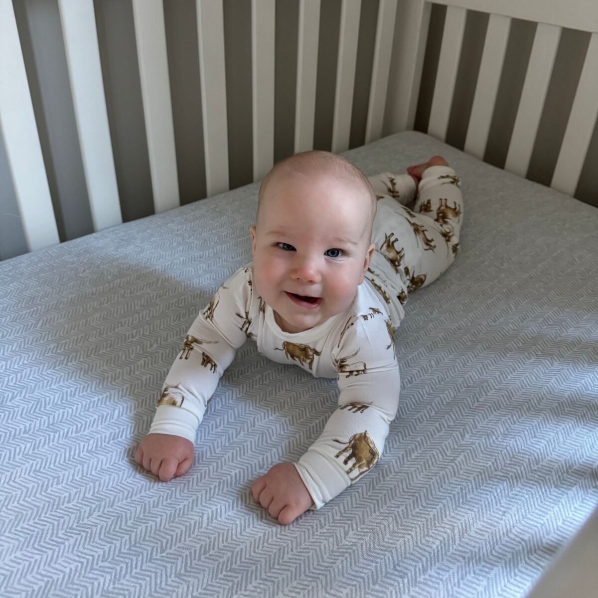 Long sleeve 2 piece bamboo pajama set - image 5