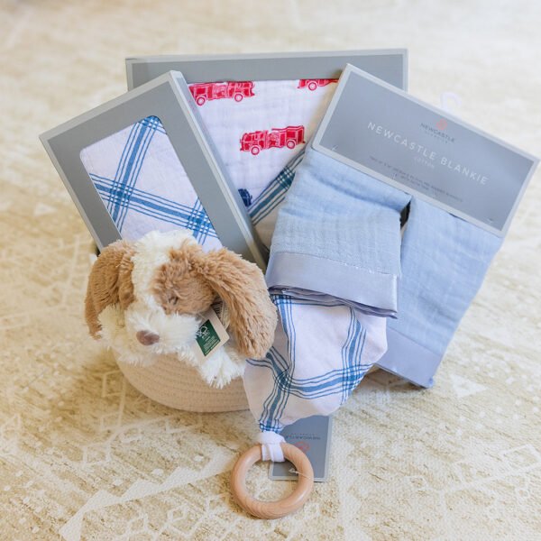 Welcome Baby Boy - Firetruck & Blue Plaid