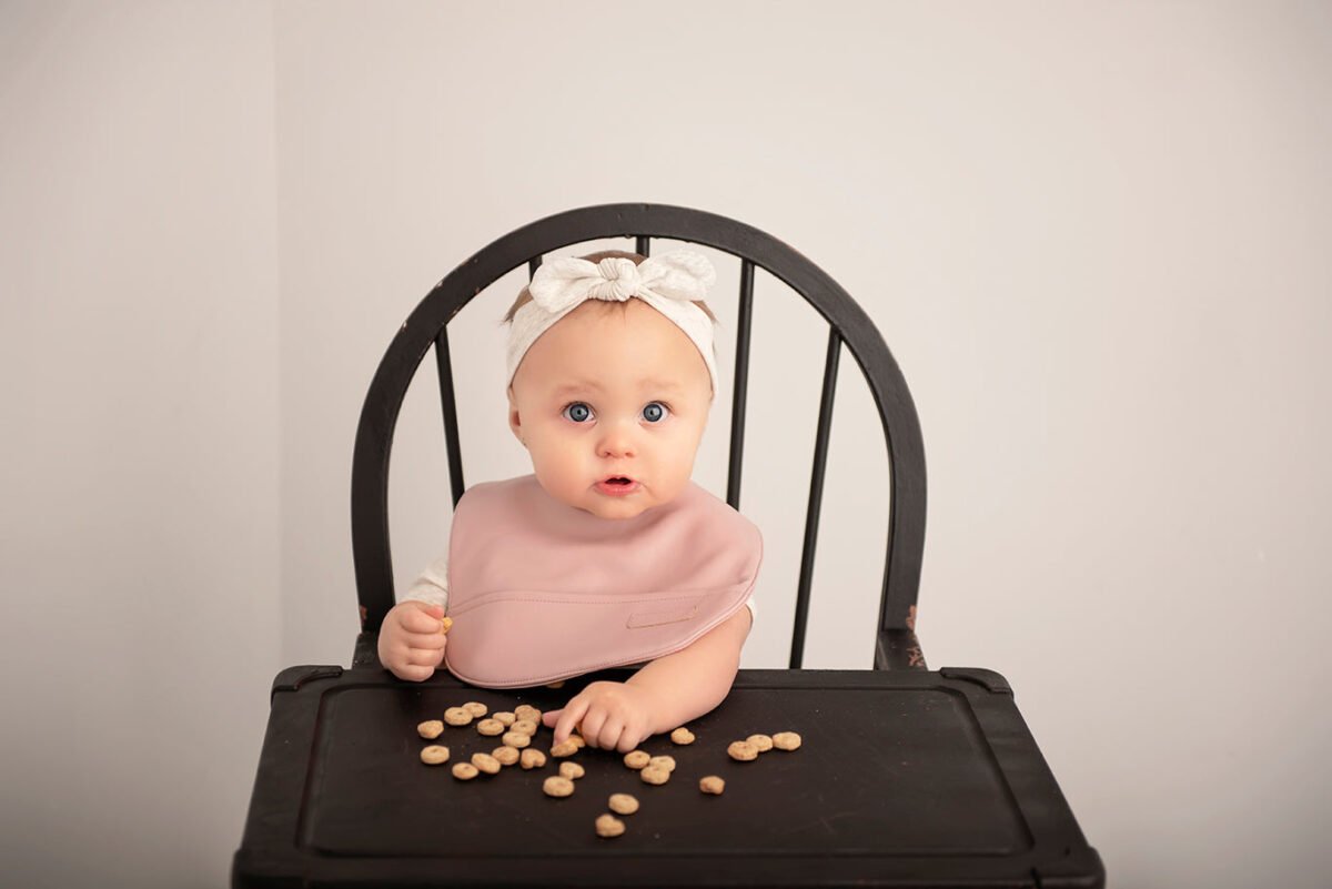 Classic single mauve bib | cloudybébé baby product