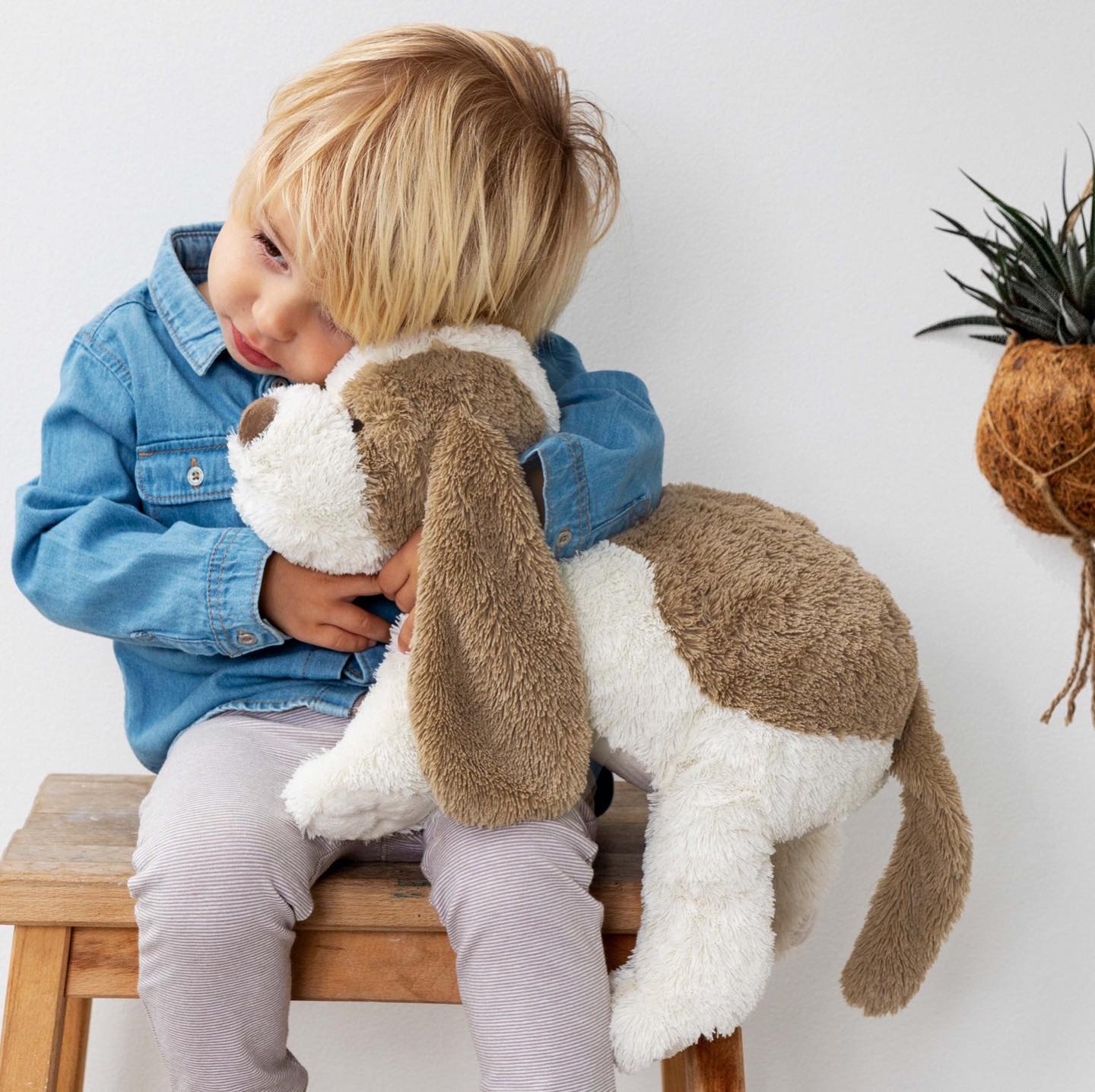 Child sitting on a wooden bench holding a large brown and white plush dog.
